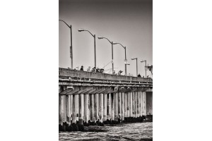Fishing at Ocean Beach
