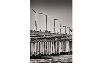 Fishing at Ocean Beach