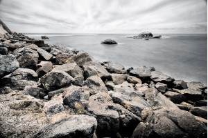 Welcome to Bird Rock