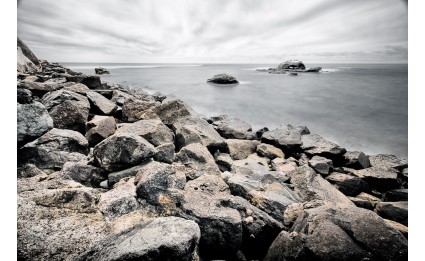 Welcome to Bird Rock