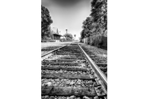 Making Tracks for Carlsbad