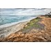 Carlsbad Coastline