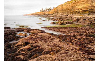 Low Tide at Sunset Cliffs II