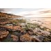 Low Tide at Sunset Cliffs