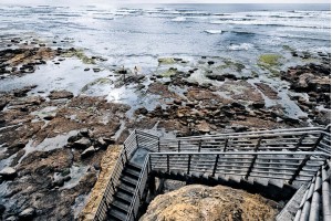Surfers at Sunset Cliffs