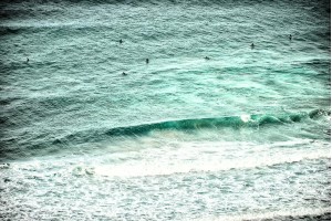 Black's Beach Surfers