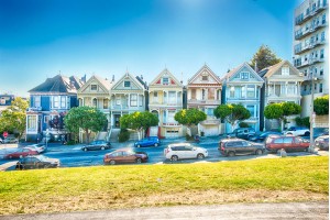 Painted Ladies II