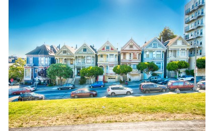 Painted Ladies II
