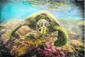 Honu