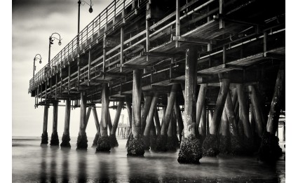 Santa Monica Pier II