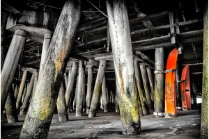 Santa Monica Boats II