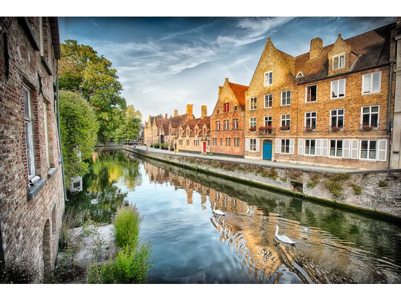 Swans swimming on the Groenerij Canal in Bruges Belgium