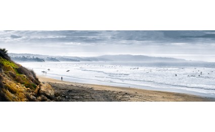 People of Cardiff II