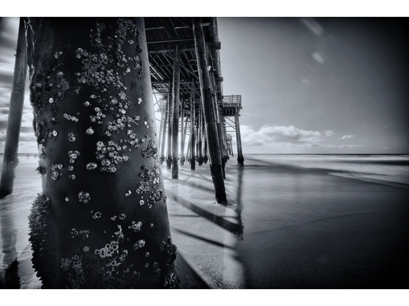 1212 oceanside 35 edit 800x600