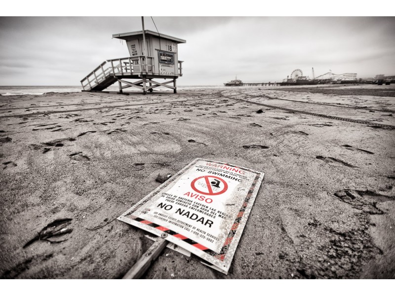 1306 santa monica 225 Edit website 800x600