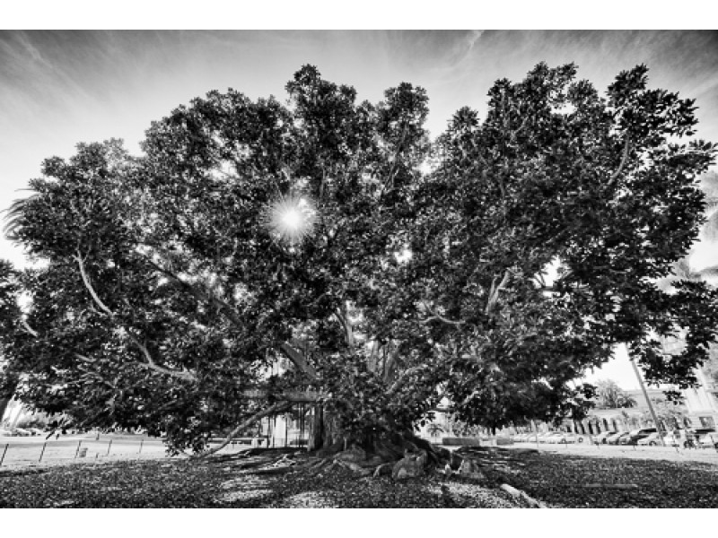 1412 untitled 696 Edit 800x600