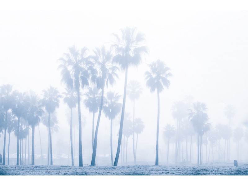 1702 venice beach 407 Edit website 800x600