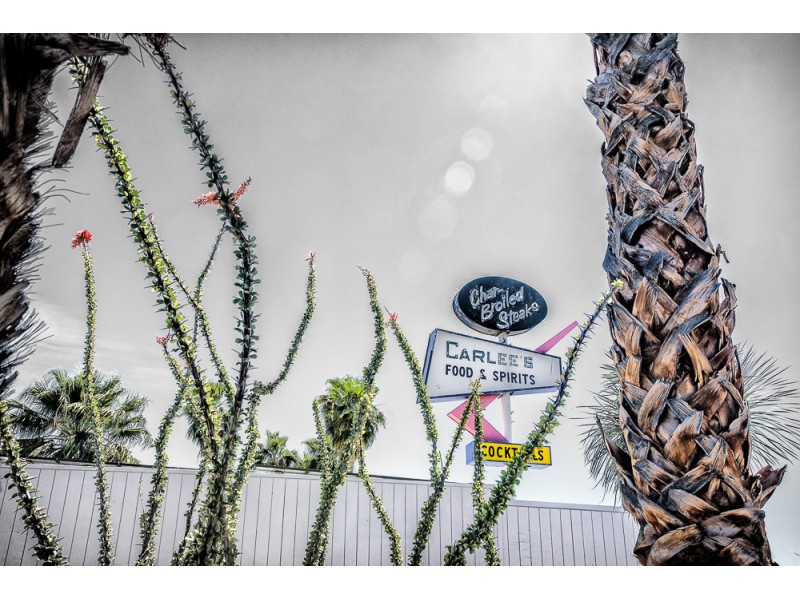 1804 anza borrego 164 Edit Edit website 800x600