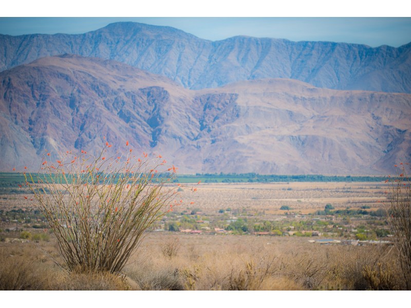 1804 anza borrego 59 website 800x600