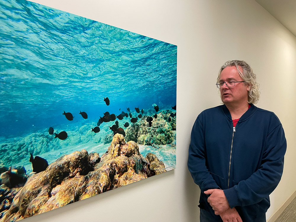 Roy looking at Black Surgeonfish piece on 30x40 metal in hallway