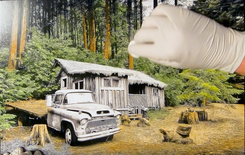 adding burnt sienna to trees