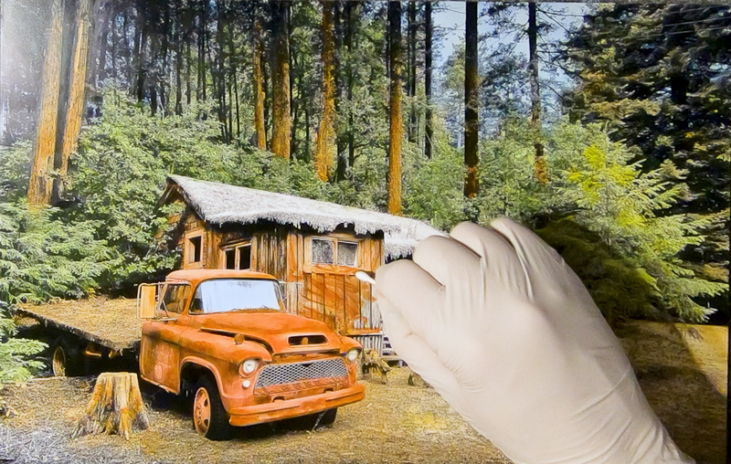 adding flesh color to the house