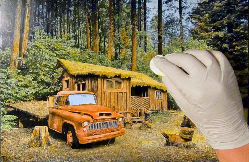 adding some blotches of orange to the green foliage