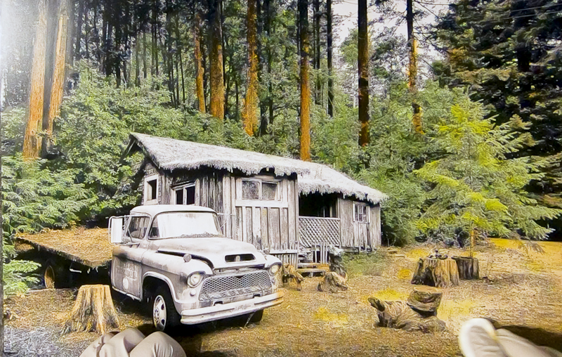 adding yellow on top of burnt sienna on ground