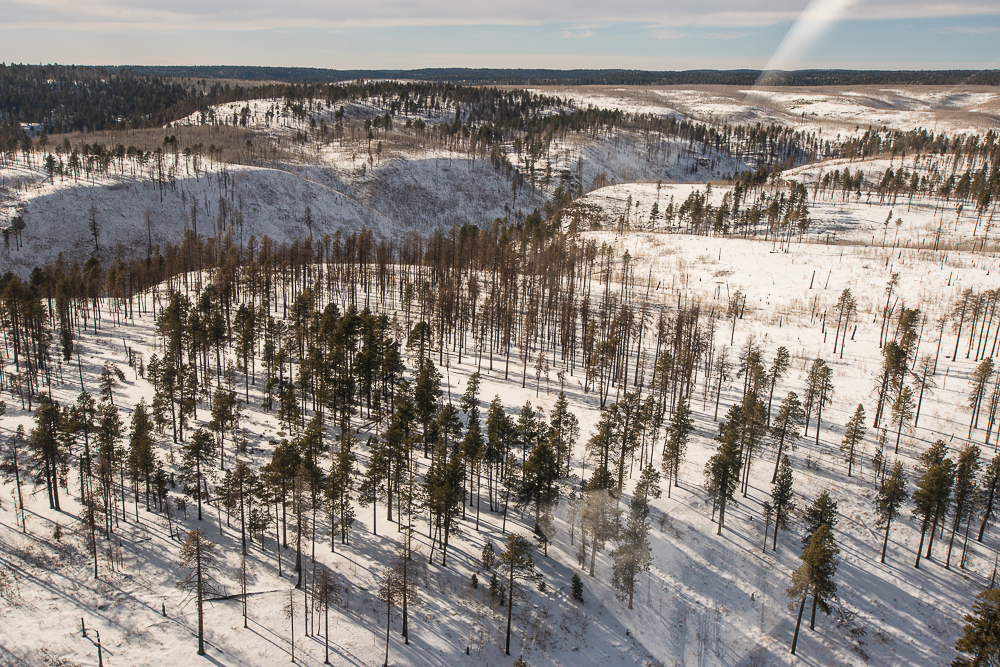 arizona flying over snow covered north rim grand canyon