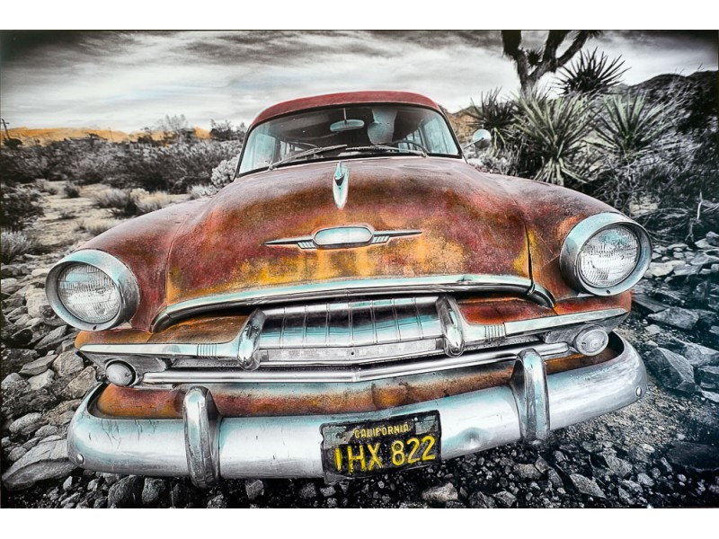 art-photography-joshua-tree