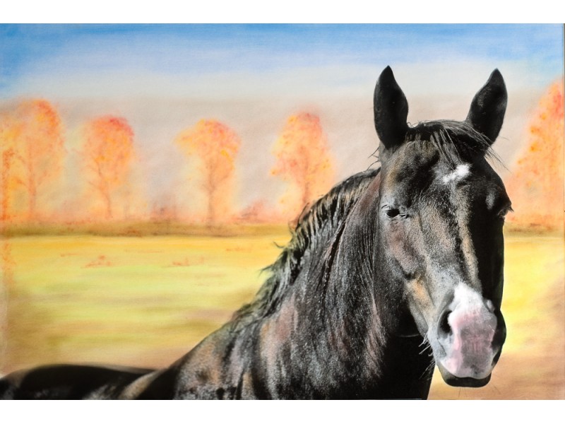 bishop-california-art