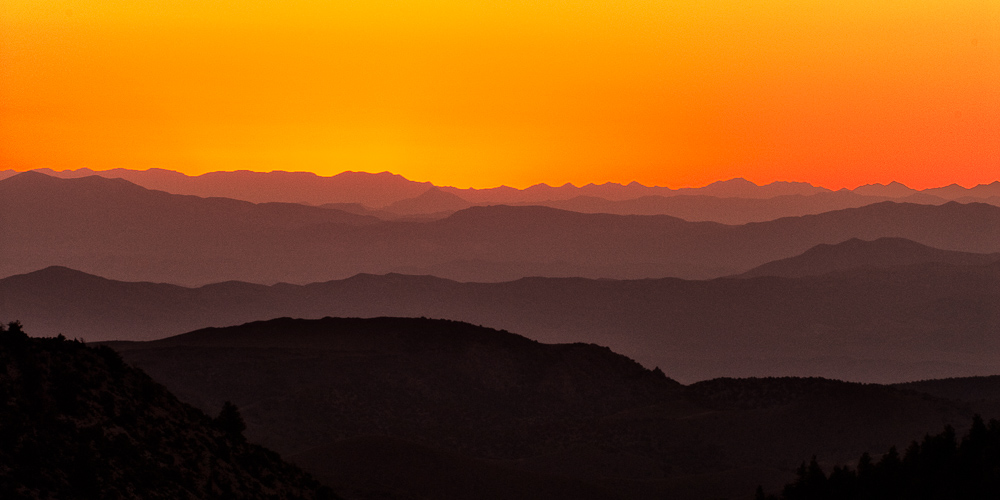 bristlecone pine forest sunrise over the mountains
