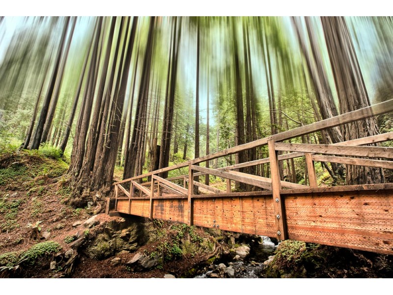 california photograph 1