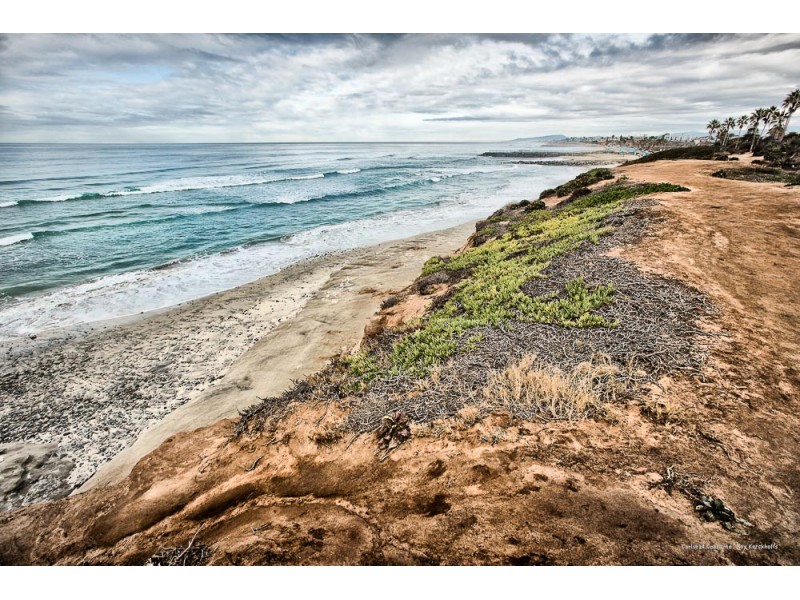 carlsbad art work for home