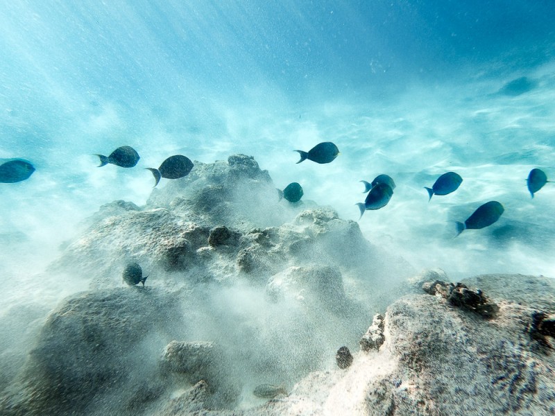 custom fine art hawaii