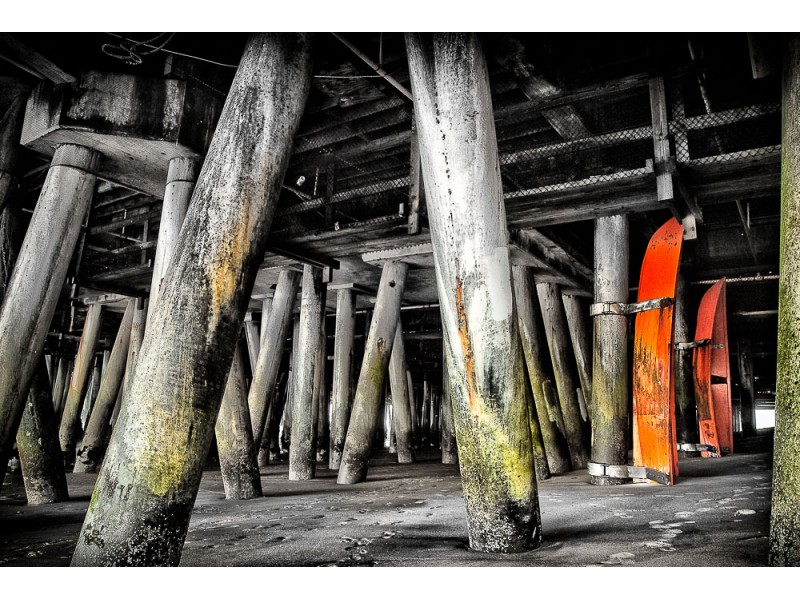 custom photography santa monica