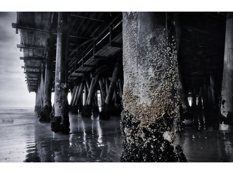 custom santa monica wall art