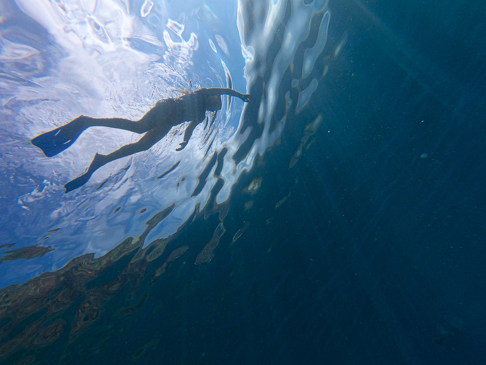 daughter snorkeling at water surface in hawaii