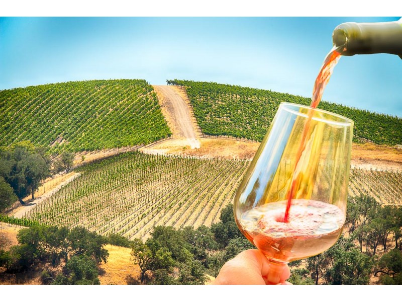 fine art and photography paso robles