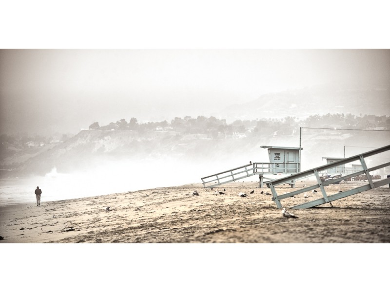 fine art for home santa monica