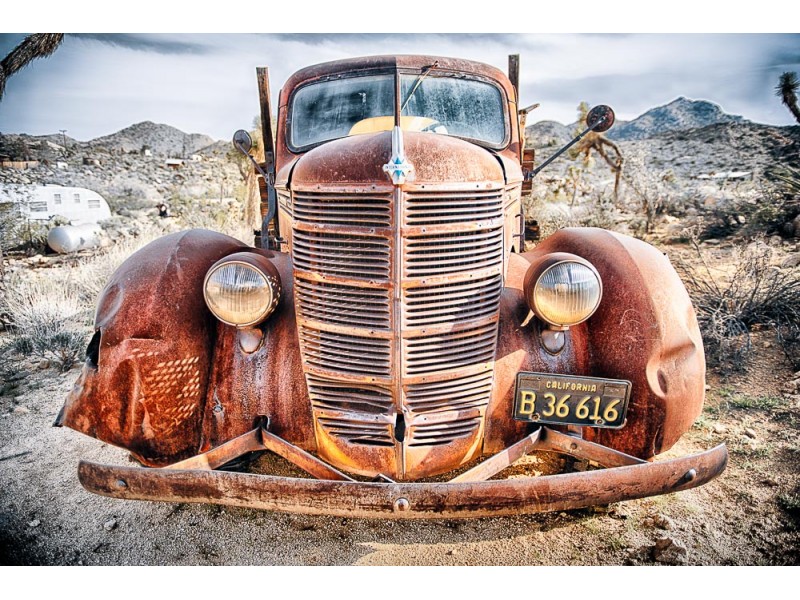 joshua-tree-photography