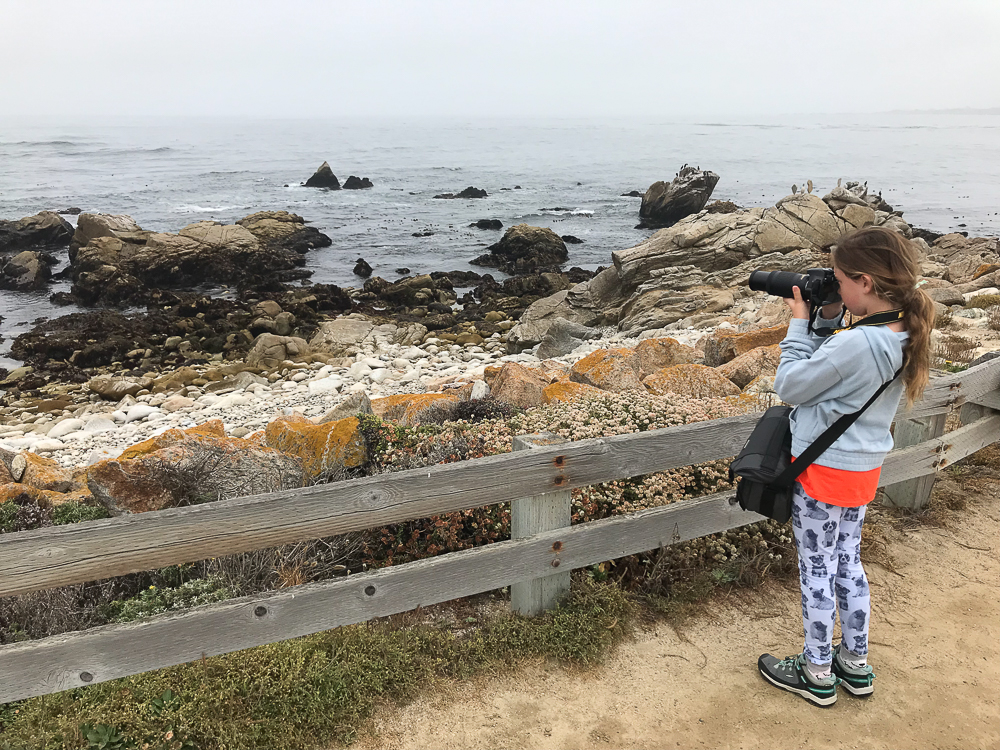 kate taking pictures of a sea otter with her camera