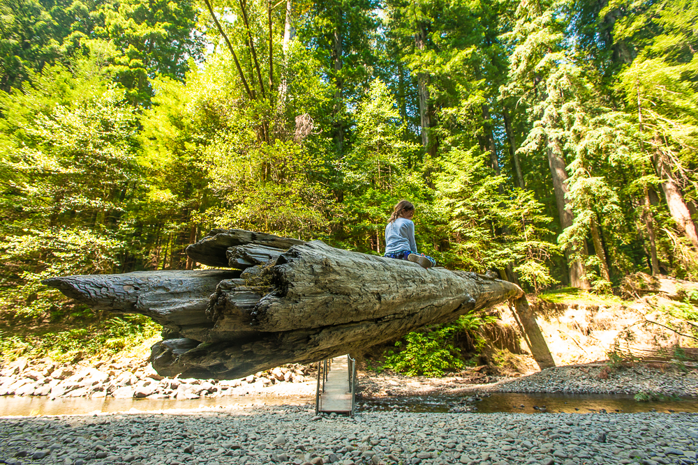 katie sitting on log over river at humboldt redwood