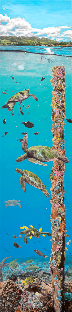 mala pier reef composition