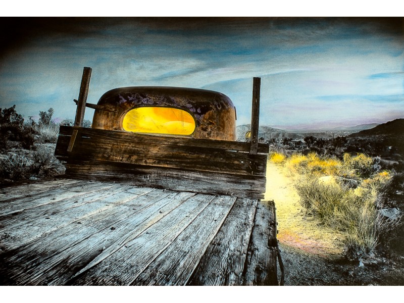 photograph-joshua-tree