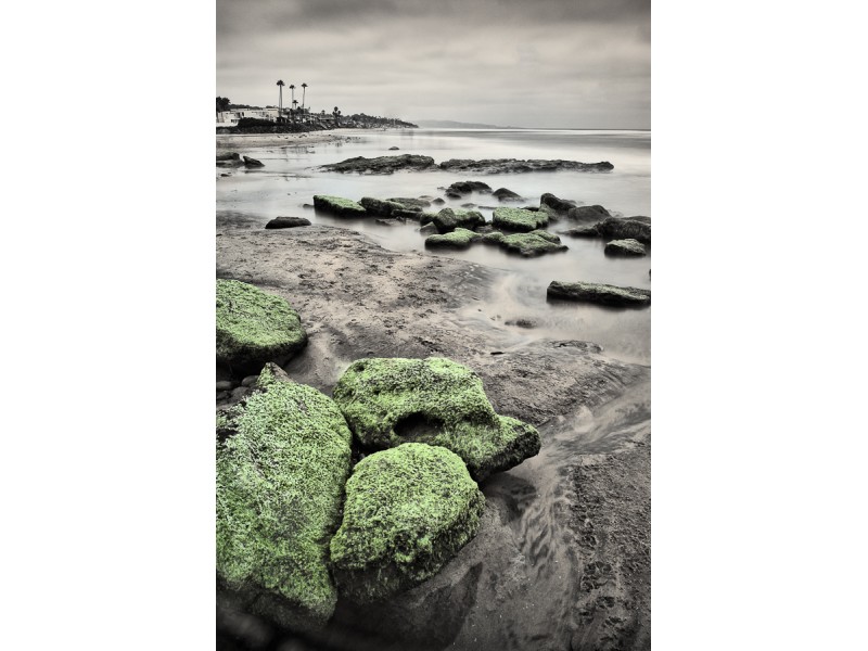 1207 delmardogbeach 69 edit 800x600