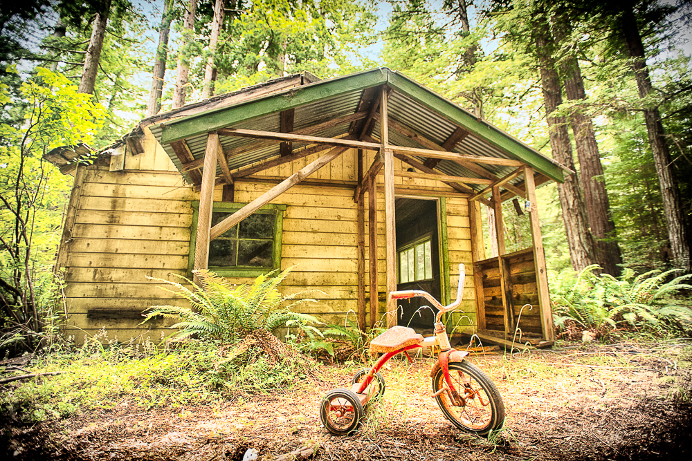 tricycle in front of abandoned house in hales grove