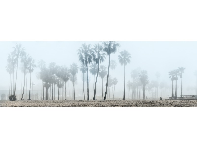 venice beach photography